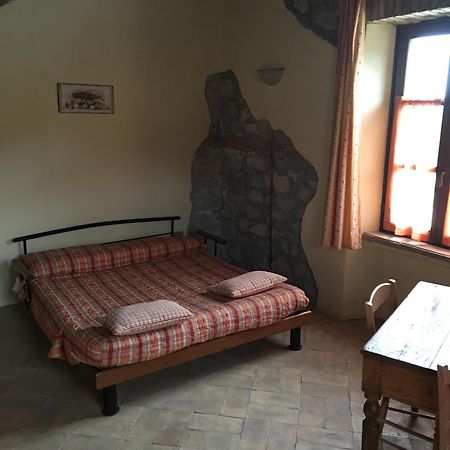 Agriturismo Terre Di Musignano Canino Dış mekan fotoğraf