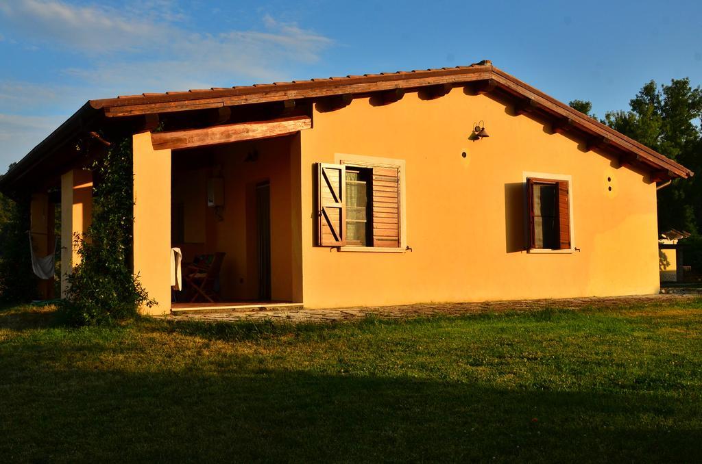 Agriturismo Terre Di Musignano Canino Oda fotoğraf