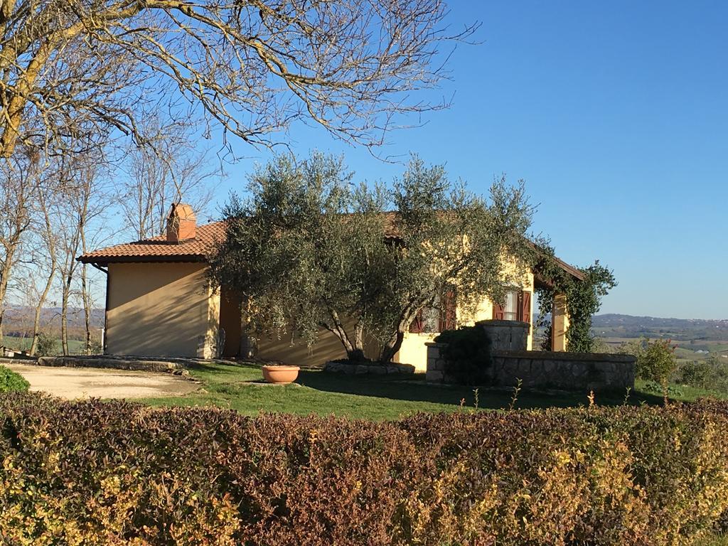 Agriturismo Terre Di Musignano Canino Dış mekan fotoğraf